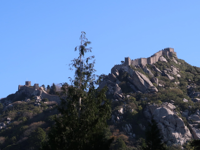 Castelo dos Mouros vom Quinta da Regaleira in Sintra aus (16. Nov.)