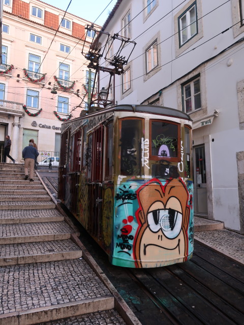 Elevador da Bica in Lisboa (23. Nov.)