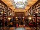 Livraria Lello in Porto (18. Nov.)