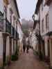 Rua Sao Joao in Tomar (21. Nov.)