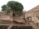 Castelo dos Templários e Convento de Cristo in Tomar (21. Nov.)