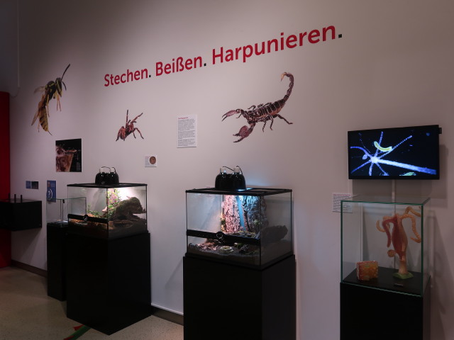 Sonderausstellung 'Stechen. Kratzen. Beißen. Mit den Waffen der Natur'