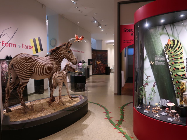 Sonderausstellung 'Stechen. Kratzen. Beißen. Mit den Waffen der Natur'