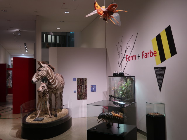 Sonderausstellung 'Stechen. Kratzen. Beißen. Mit den Waffen der Natur'