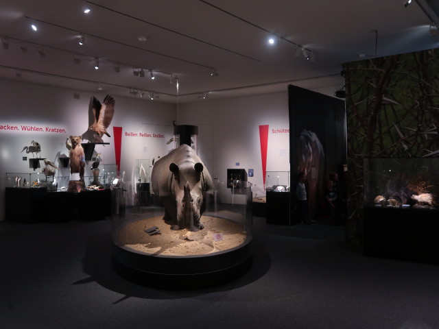 Sonderausstellung 'Stechen. Kratzen. Beißen. Mit den Waffen der Natur'