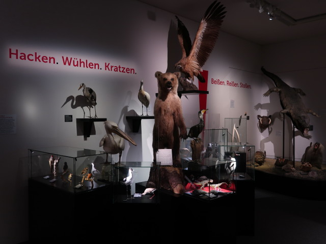 Sonderausstellung 'Stechen. Kratzen. Beißen. Mit den Waffen der Natur'