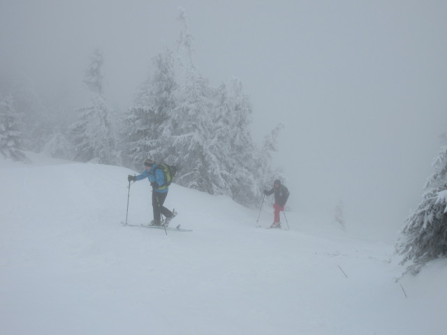 Gabriele und Eva-Maria zwischen Ötscherschutzhaus und Hüttenkogel