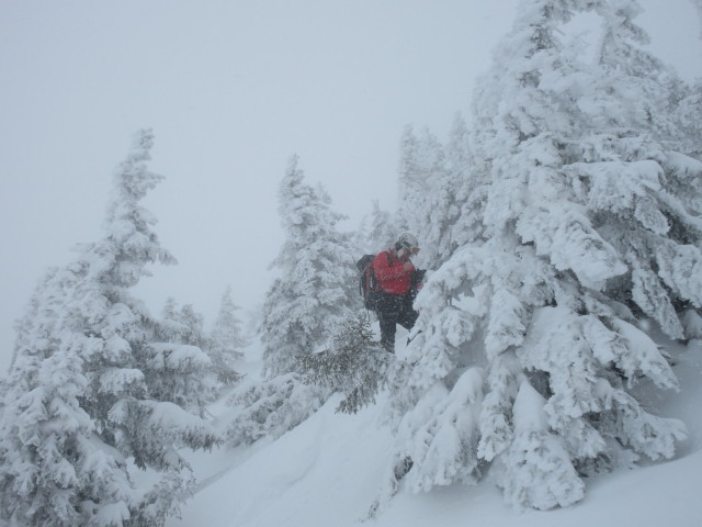 Eric zwischen Ötscher und Fürstenplan