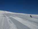 Ursa auf der Gensbichlalm-Braunkogel-Piste