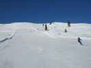 Ursa auf der Braunkogel-Ganzeralm-Piste