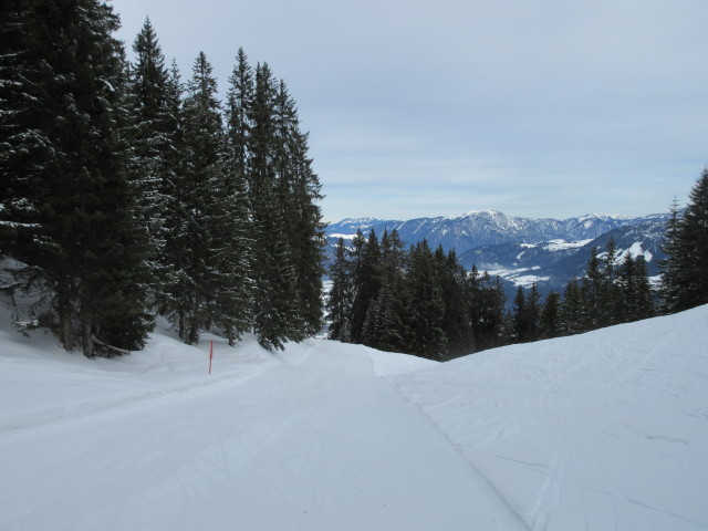 Harschbichl-Standardabfahrt