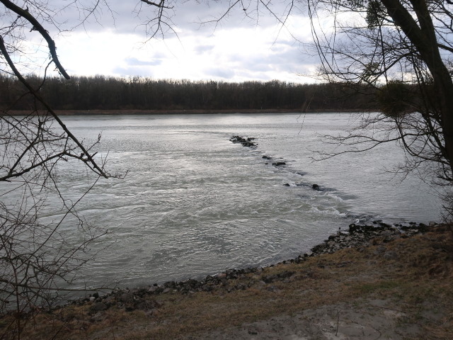 Donau