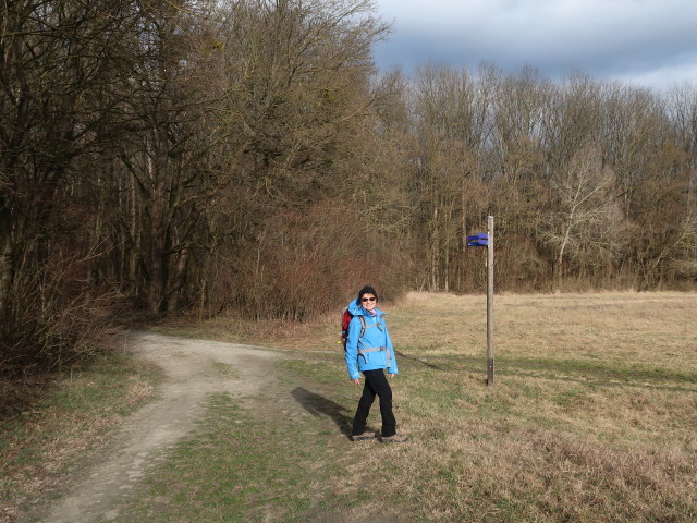 Mama zwischen Donau und Marchfelddamm