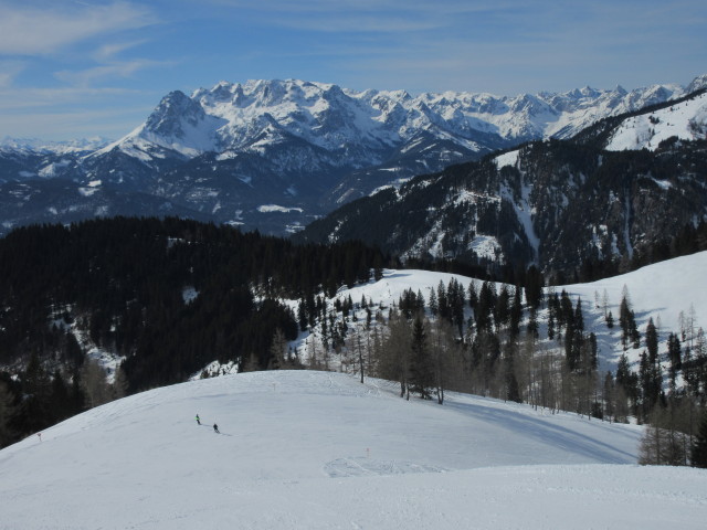 Schnapfenriedlabfahrt