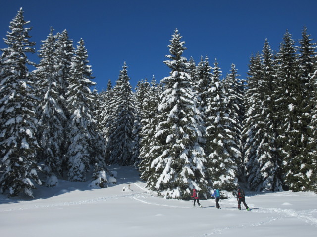 Dagmar, Larissa und Reinhard zwischen Kaserin und Knappenhütte