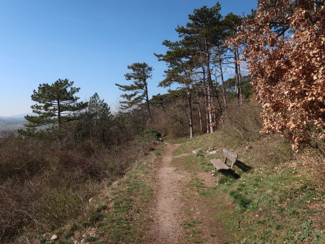 zwischen Bad Vöslau und Vöslauer Hütte