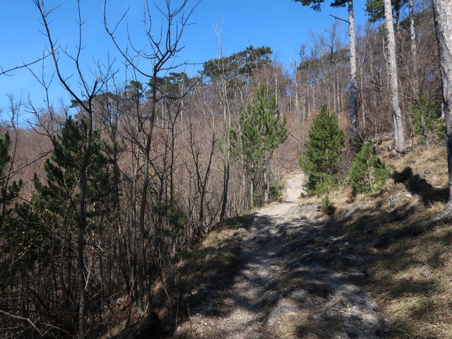 zwischen Manhartsberg und Brennersteig