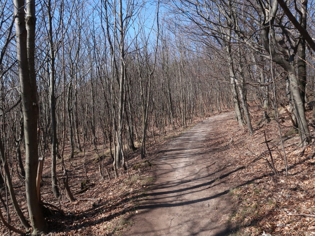 zwischen Manhartsberg und Brennersteig