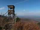 zwischen Hoher Lindkogel und Sooßer Lindkogel