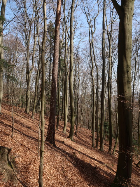 zwischen Mittereck und Geißberg