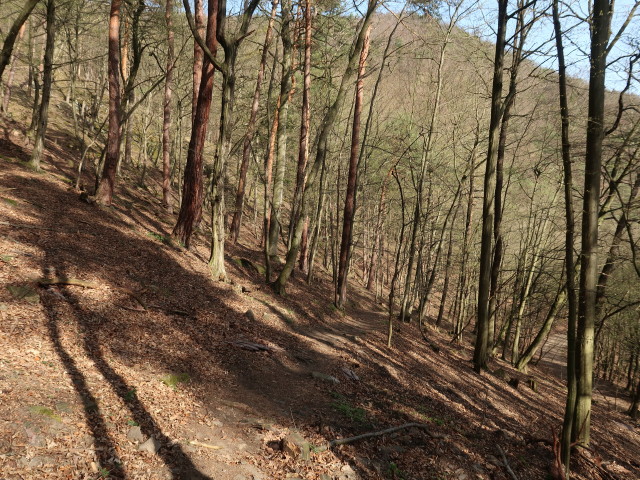 zwischen Atzberg und St. Michael