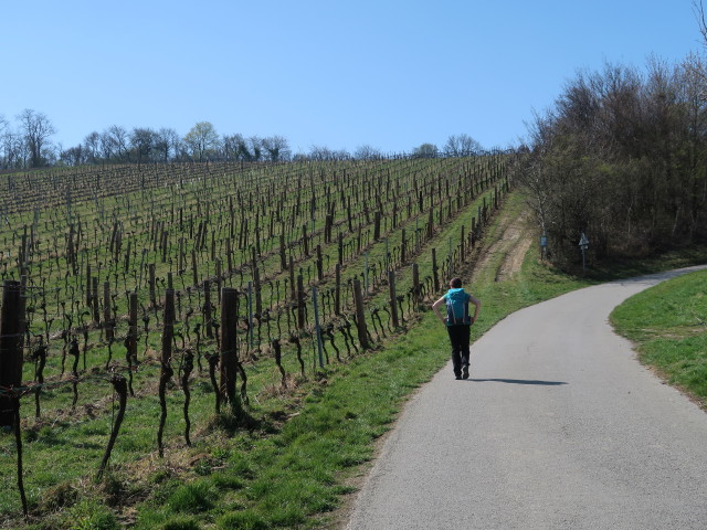 Sabine zwischen Klosterneuburg und Buchberg