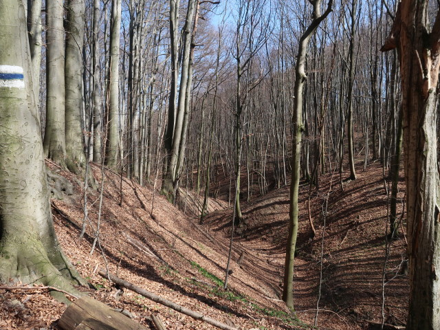 zwischen Eichenhain und Gsängerhütte