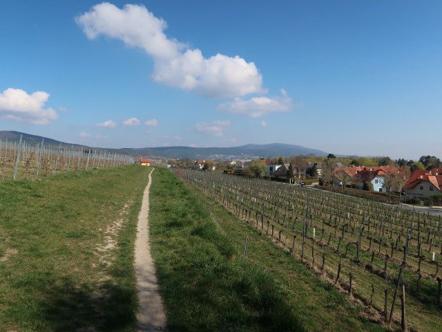 1. Wiener Wasserleitungsweg zwischen Bad V&ouml;slau und Soo&szlig;