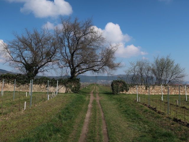 1. Wiener Wasserleitungsweg zwischen Bad V&ouml;slau und Soo&szlig;