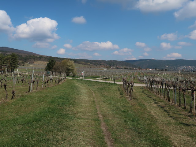 1. Wiener Wasserleitungsweg bei Soo&szlig;