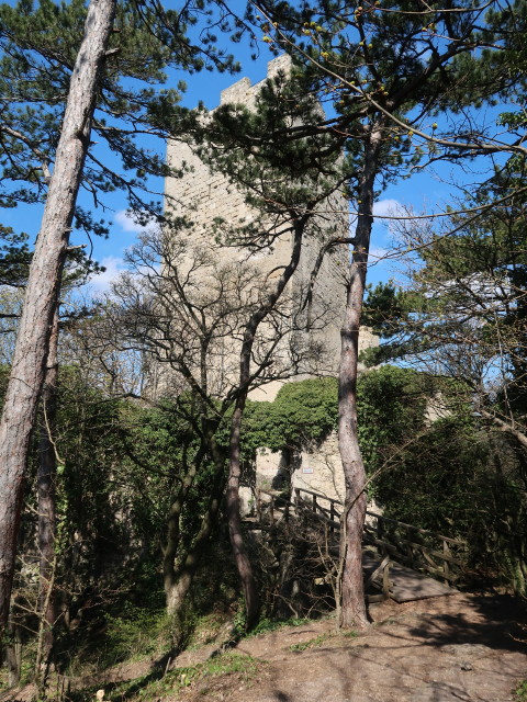 Ruine Rauheneck, 363 m