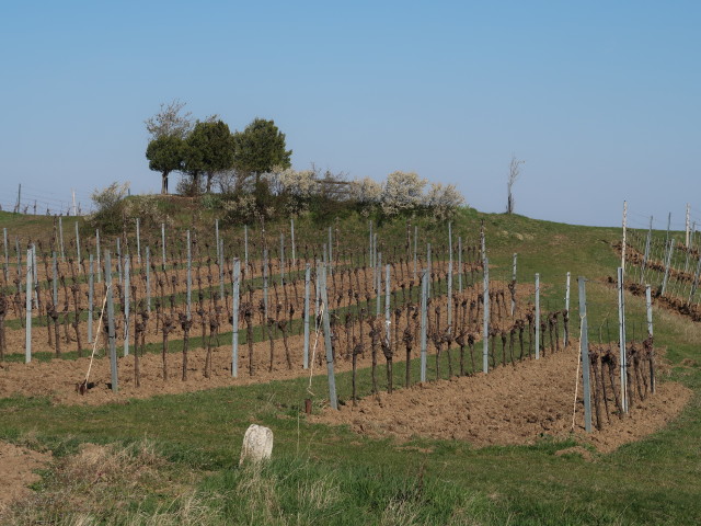 neben dem 1. Wiener Wasserleitungsweg zwischen Pfaffst&auml;tten und Gumpoldskirchen