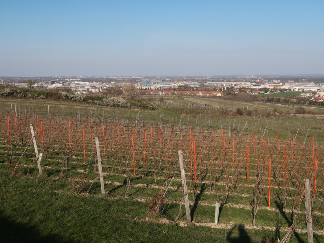 neben dem 1. Wiener Wasserleitungsweg zwischen Guntramsdorf und M&ouml;dling