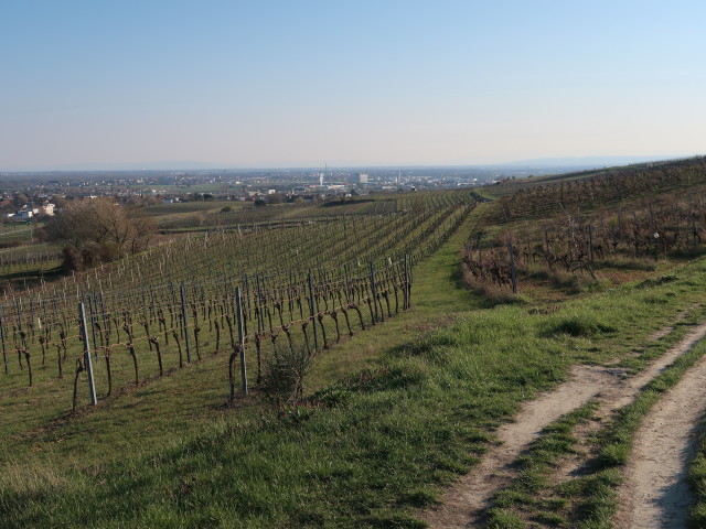 1. Wiener Wasserleitungsweg zwischen Guntramsdorf und M&ouml;dling