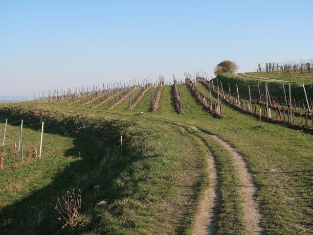 1. Wiener Wasserleitungsweg zwischen Guntramsdorf und M&ouml;dling