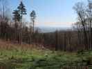 zwischen Badner Lindkogel und Ruine Rauheneck