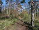 zwischen Badner Lindkogel und Ruine Rauheneck