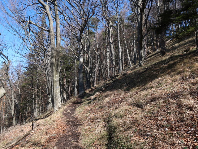 zwischen Kirchberg und Sch&ouml;nleiten