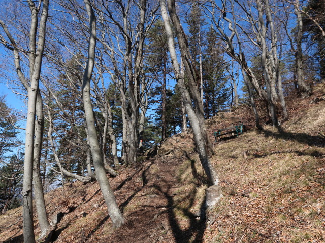 zwischen Kirchberg und Sch&ouml;nleiten