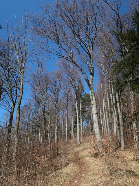 zwischen Kirchberg und Sch&ouml;nleiten