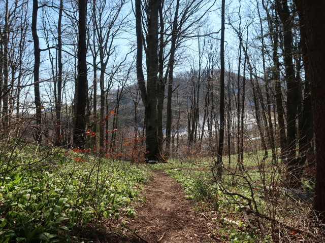 zwischen Kirchberg und Sch&ouml;nleiten