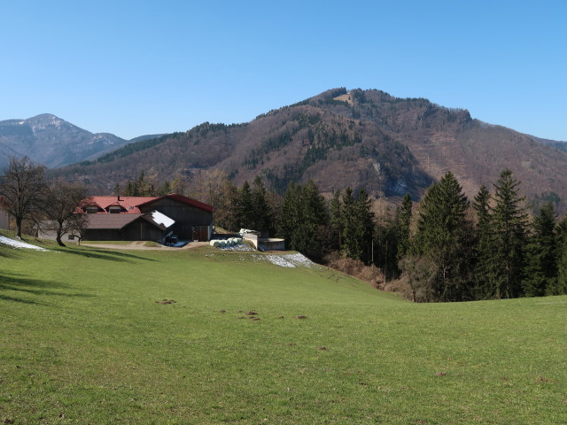 zwischen Sch&ouml;nleiten und Mitter-Halbwies