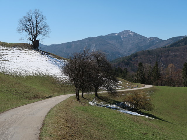 zwischen Sch&ouml;nleiten und Mitter-Halbwies