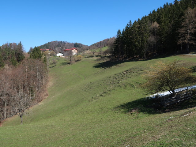 zwischen Sch&ouml;nleiten und Mitter-Halbwies