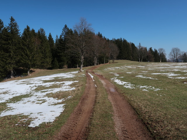 zwischen Schwarzwaldeckhaus und Sengenebenberg