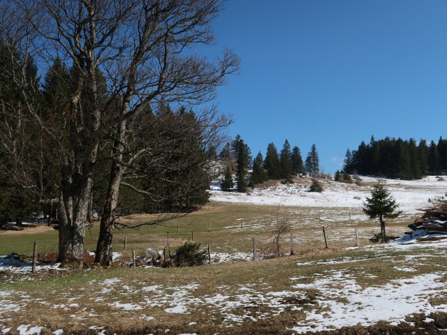 zwischen Schwarzwaldeckhaus und Sengenebenberg