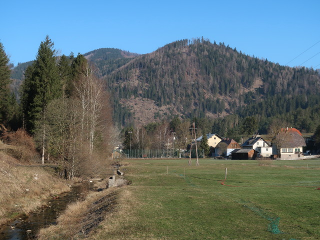 Zellenbach in Rohr im Gebirge
