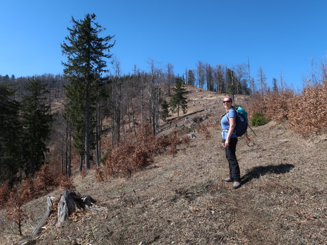 Sabine zwischen Hammerleck und Jochart