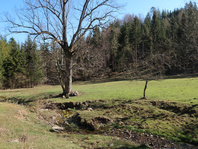 zwischen Jochart und Schacherbauer