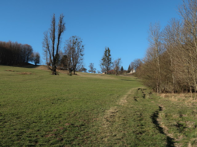 zwischen Furth an der Triesting und Am&ouml;d